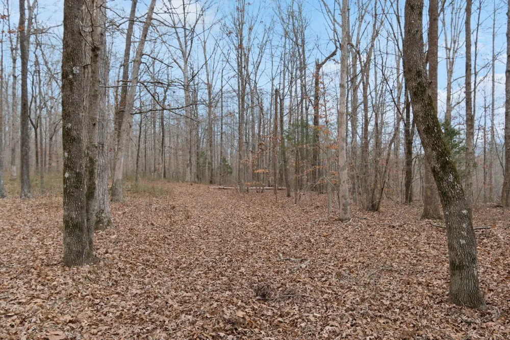 6000 Garrison Springs Rd Franklin, TN 37064