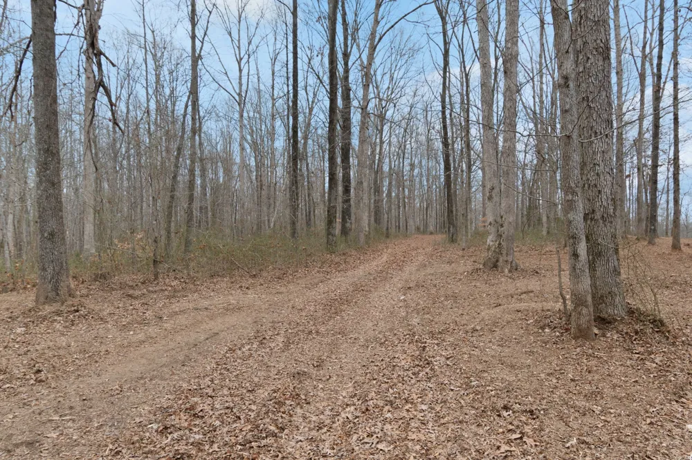 6000 Garrison Springs Rd Franklin, TN 37064