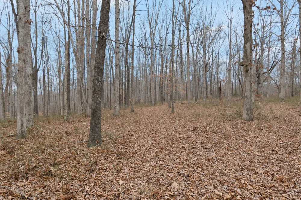 6000 Garrison Springs Rd Franklin, TN 37064