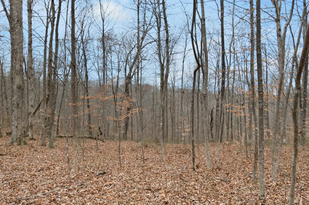 6000 Garrison Springs Rd Franklin, TN 37064