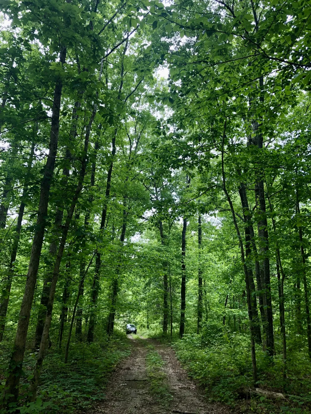 6000 Garrison Springs Rd Franklin, TN 37064