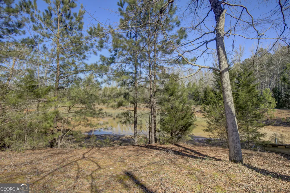 377 Dogwood TRL Tyrone, GA 30290