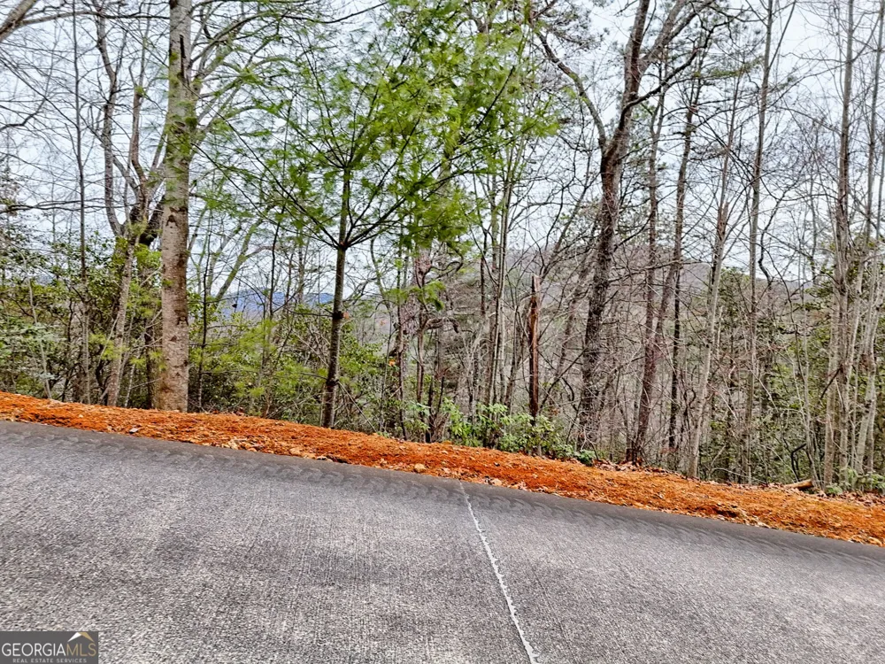 LOT 121 Doolittle DR Clayton, GA 30525