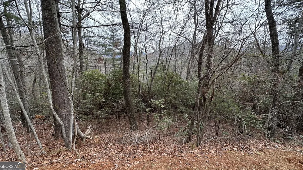 LOT 121 Doolittle DR Clayton, GA 30525