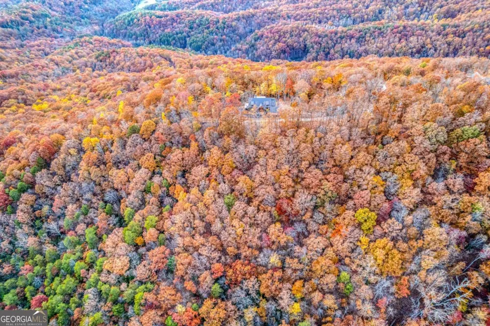 18 Wawayanda DR Mineral Bluff, GA 30559