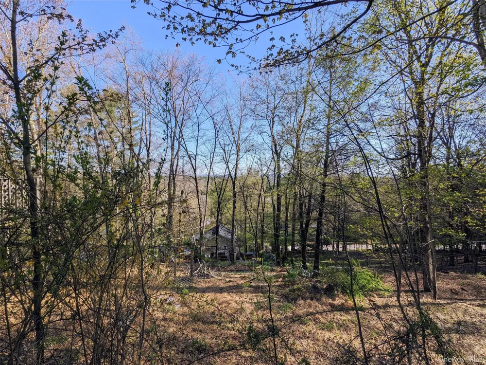 33 E Tusten Place Smallwood, NY 12778