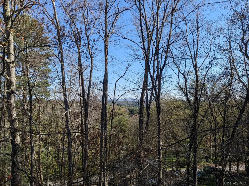 33 E Tusten Place Smallwood, NY 12778