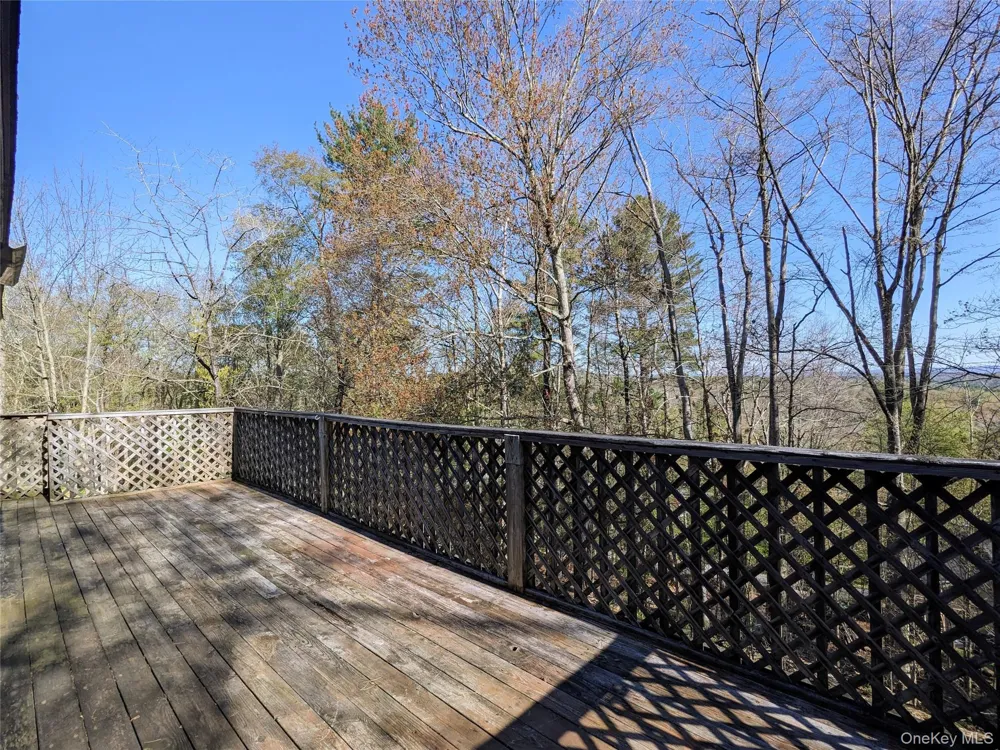 33 E Tusten Place Smallwood, NY 12778