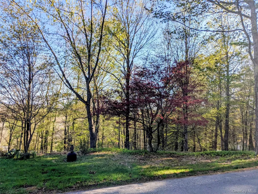 33 E Tusten Place Smallwood, NY 12778