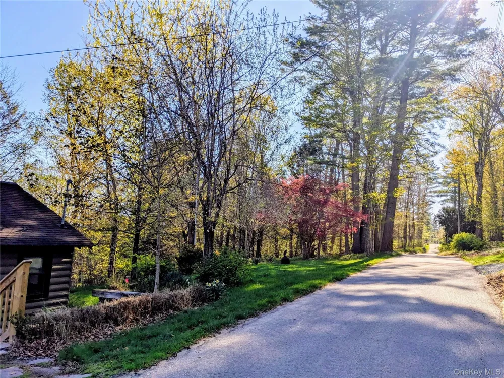 33 E Tusten Place Smallwood, NY 12778