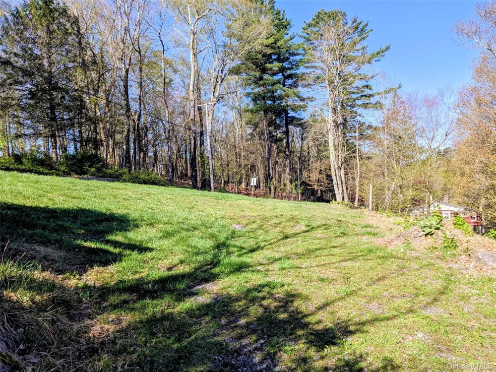 33 E Tusten Place Smallwood, NY 12778