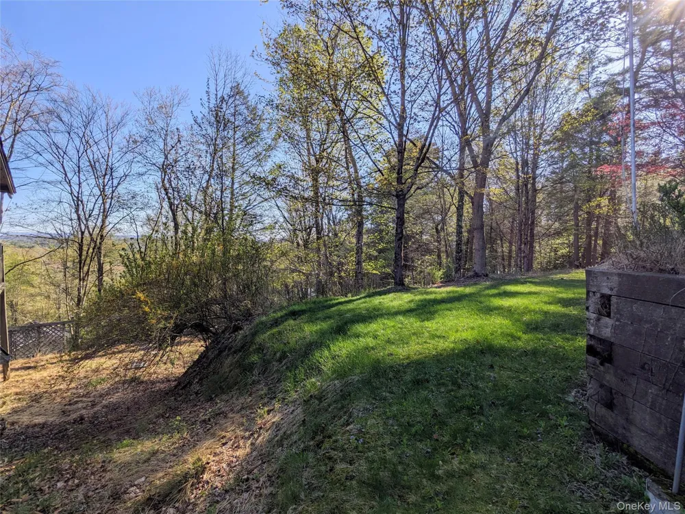 33 E Tusten Place Smallwood, NY 12778