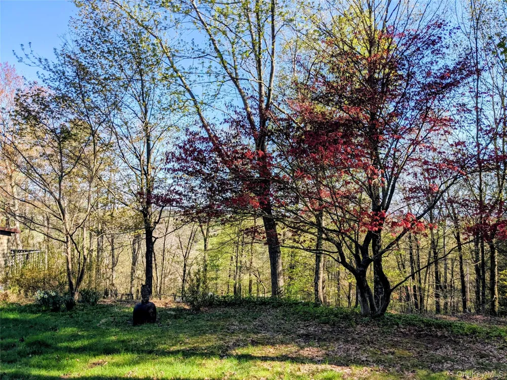 33 E Tusten Place Smallwood, NY 12778