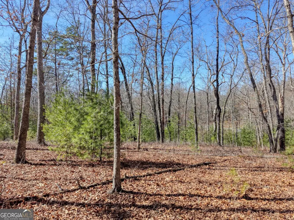 LOT 40 Lola Mae WAY Morganton, GA 30560