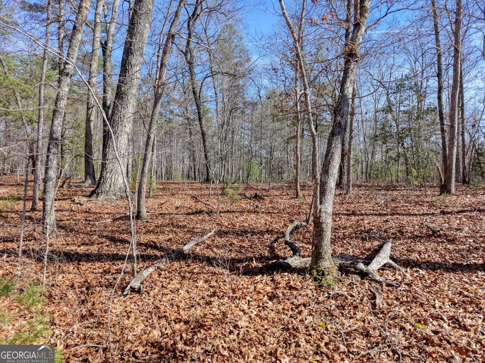 LOT 40 Lola Mae WAY Morganton, GA 30560