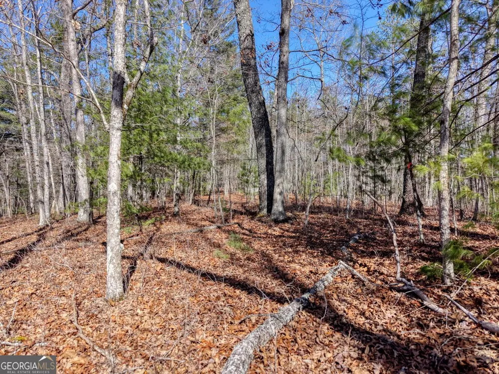 LOT 40 Lola Mae WAY Morganton, GA 30560
