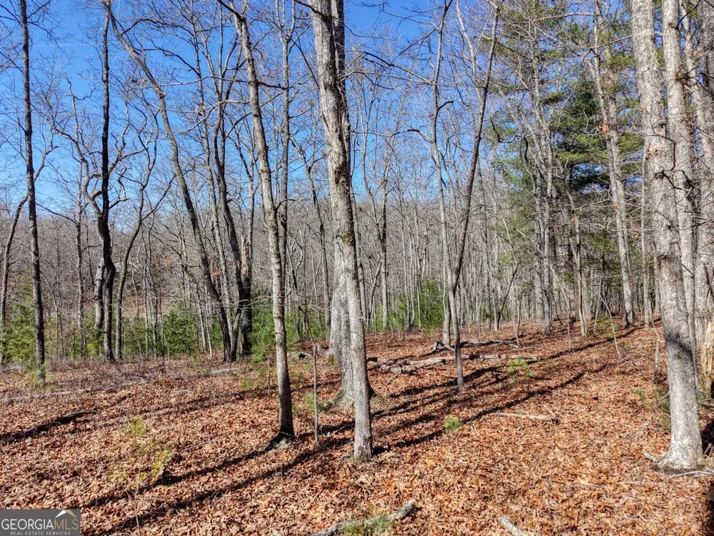 LOT 40 Lola Mae WAY Morganton, GA 30560