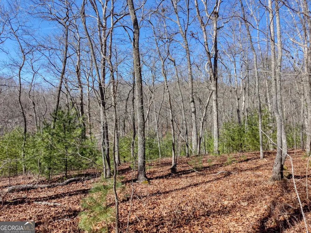 LOT 40 Lola Mae WAY Morganton, GA 30560