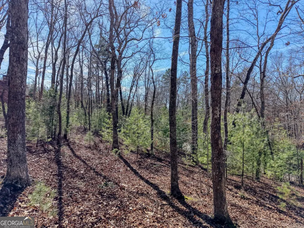 LOT 40 Lola Mae WAY Morganton, GA 30560