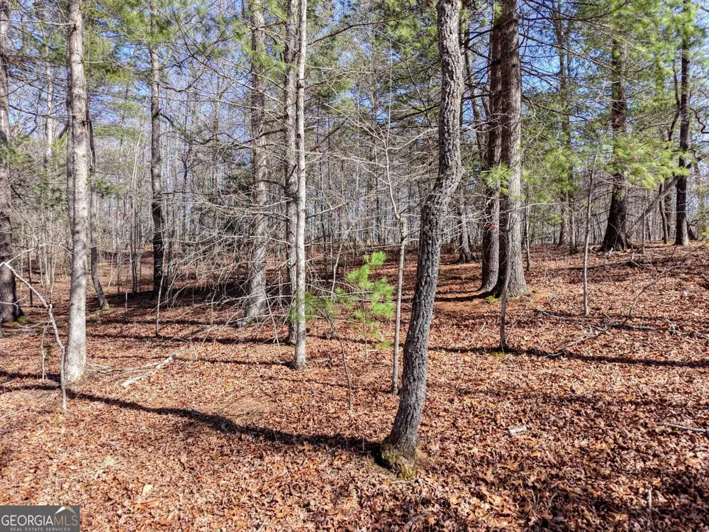 LOT 40 Lola Mae WAY Morganton, GA 30560