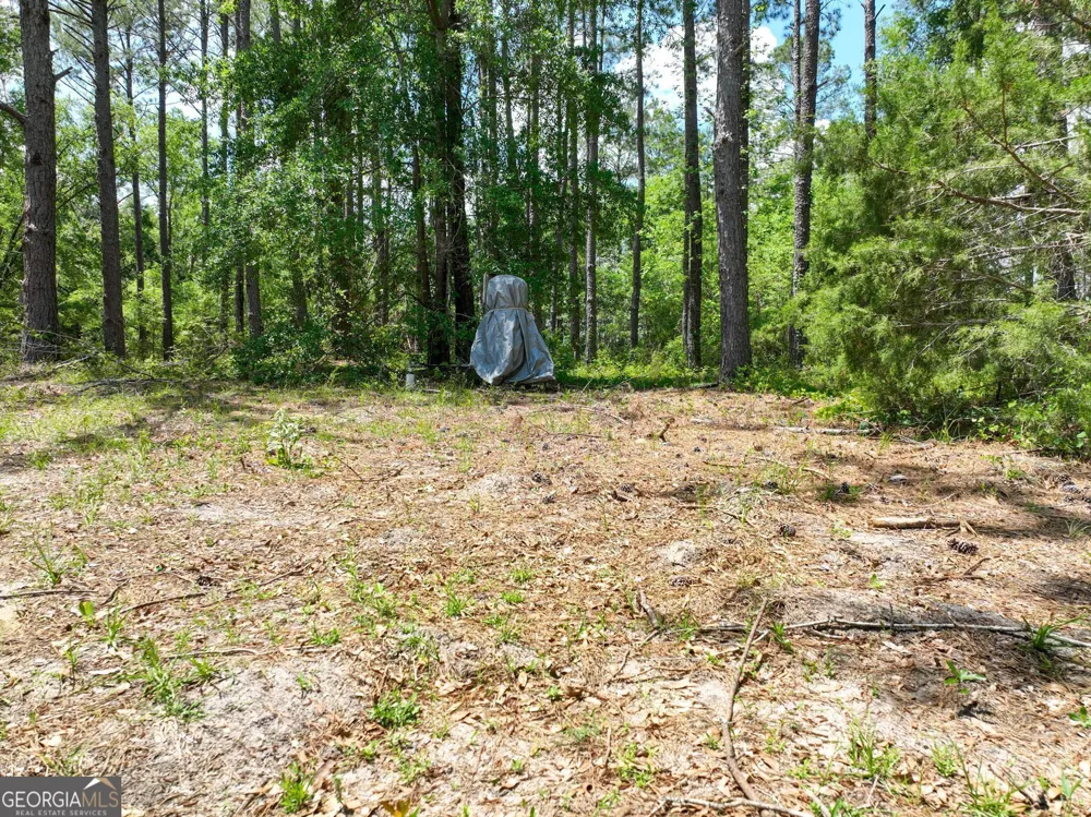 760 Memphis RD Metter, GA 30439