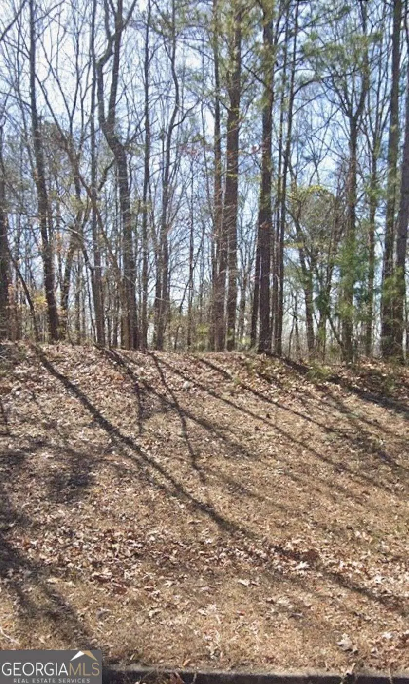 205 Long Cove DR LaGrange, GA 30240