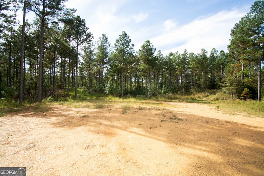 0 S Highway 225 Chatsworth, GA 30705