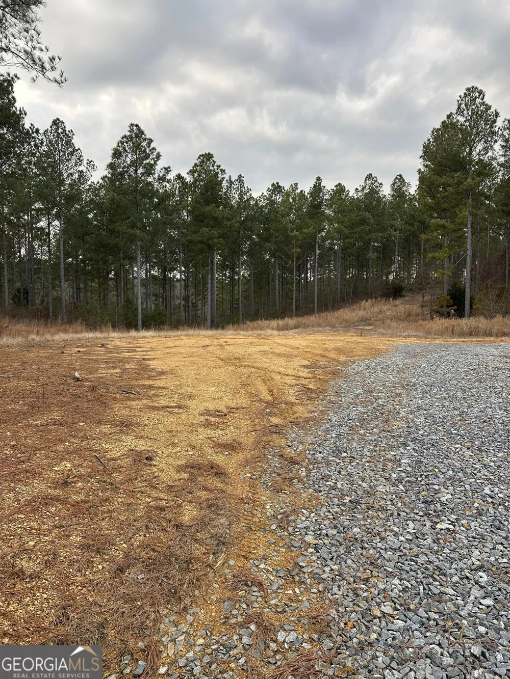 0 S Highway 225 Chatsworth, GA 30705