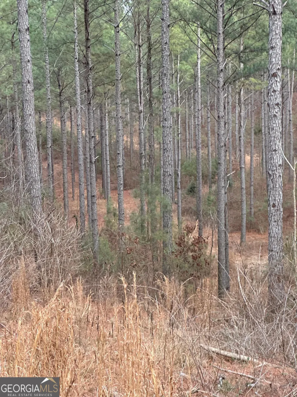 0 S Highway 225 Chatsworth, GA 30705