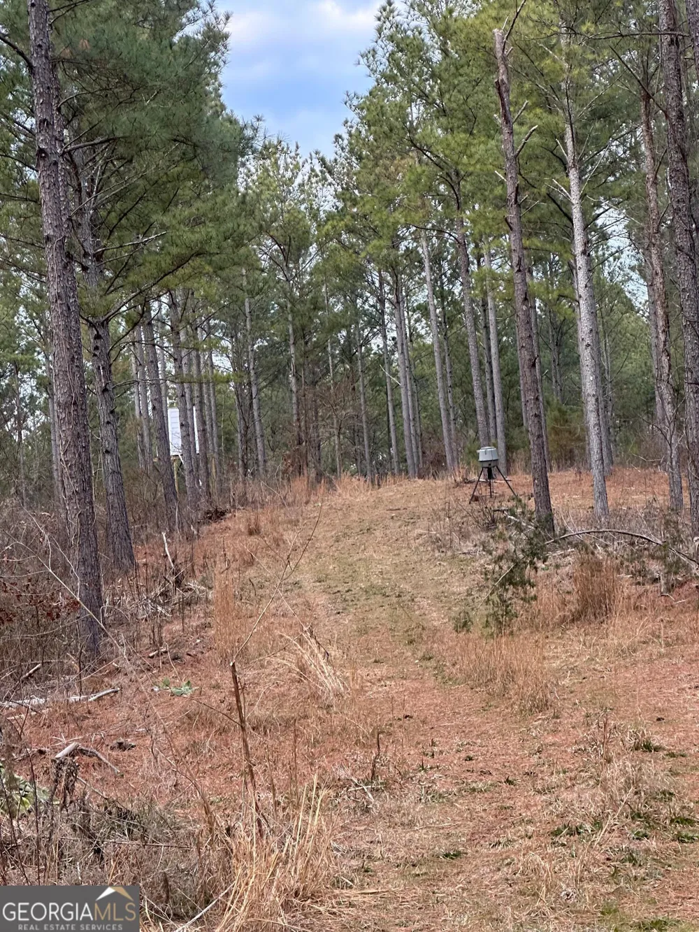 0 S Highway 225 Chatsworth, GA 30705