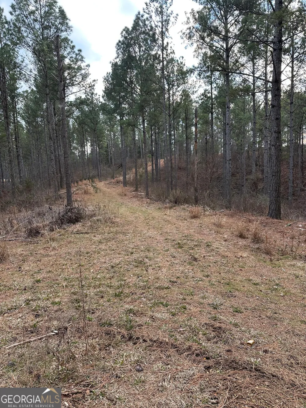 0 S Highway 225 Chatsworth, GA 30705