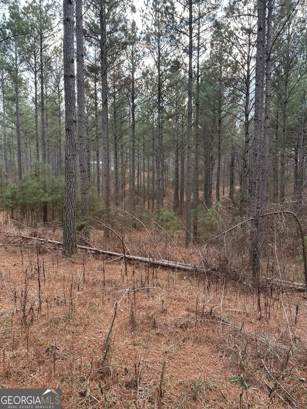 0 S Highway 225 Chatsworth, GA 30705