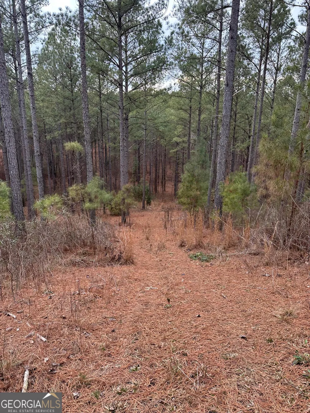 0 S Highway 225 Chatsworth, GA 30705
