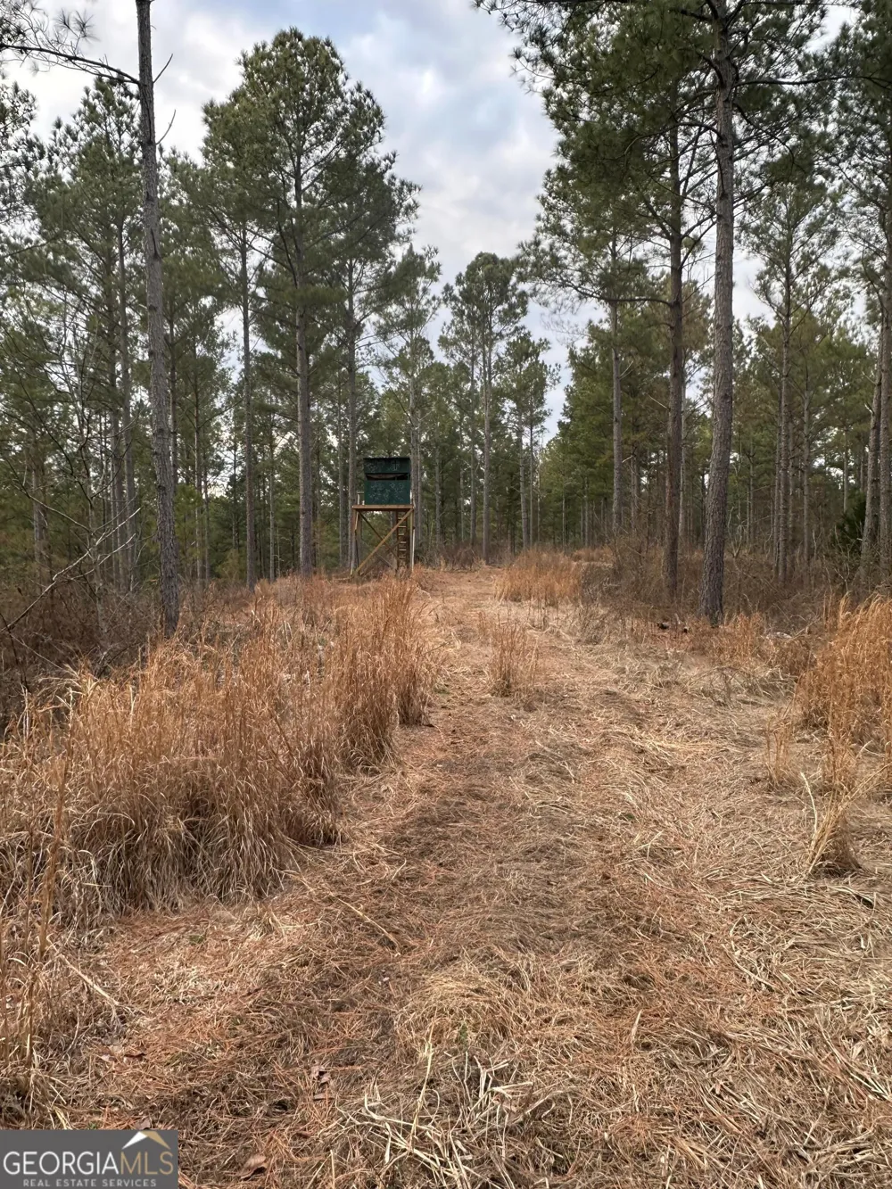 0 S Highway 225 Chatsworth, GA 30705