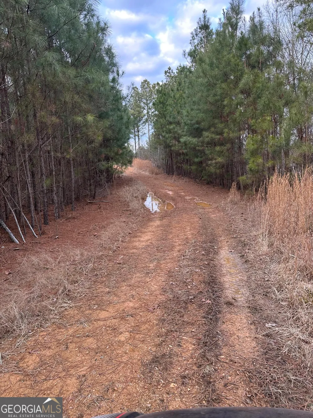 0 S Highway 225 Chatsworth, GA 30705