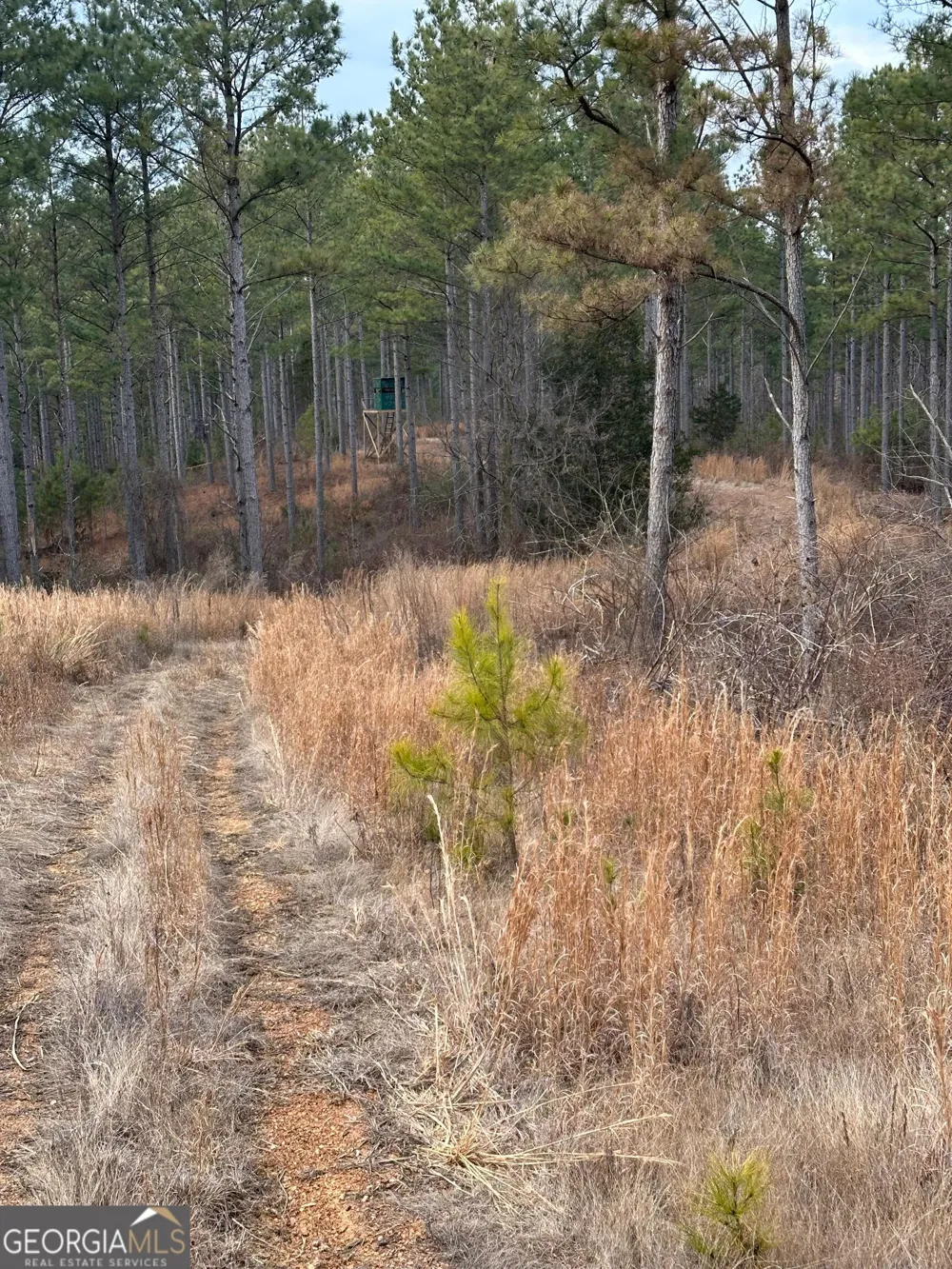 0 S Highway 225 Chatsworth, GA 30705