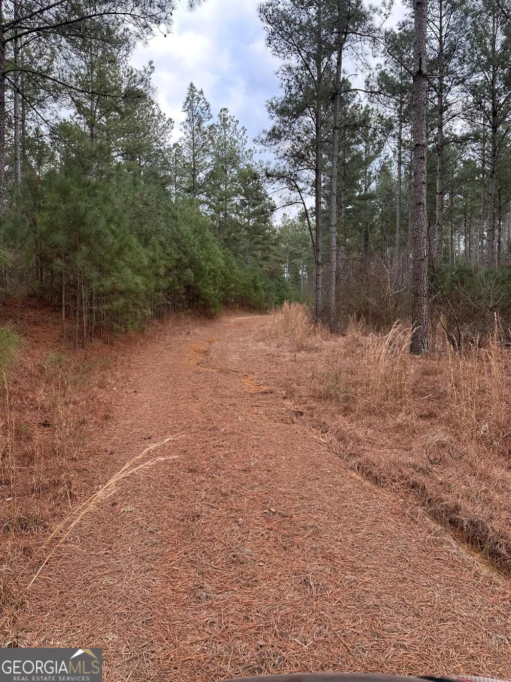 0 S Highway 225 Chatsworth, GA 30705