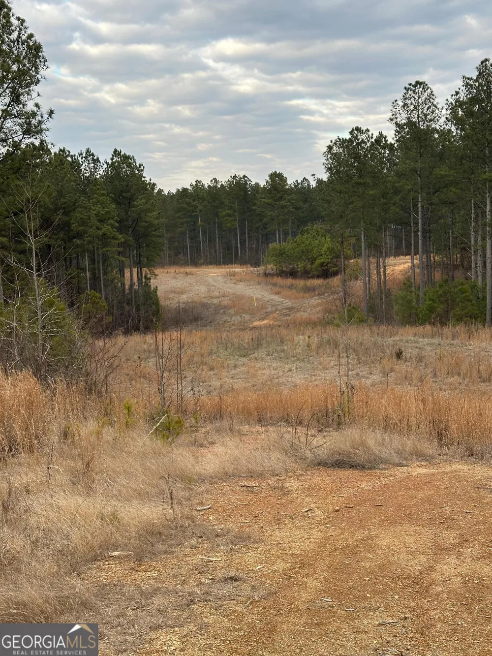 0 S Highway 225 Chatsworth, GA 30705