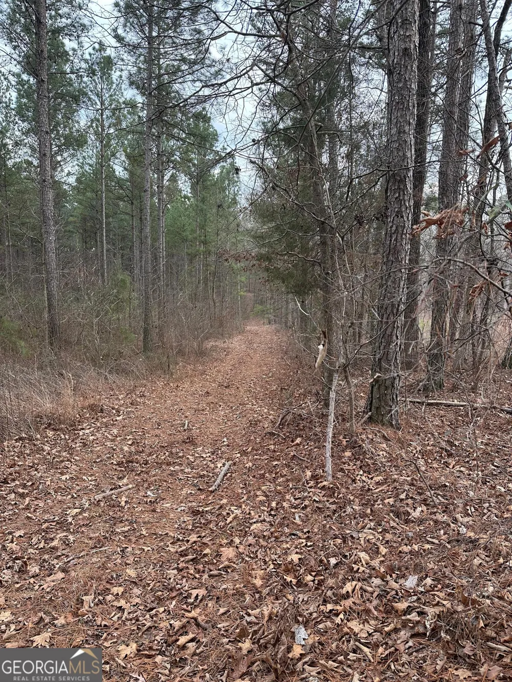 0 S Highway 225 Chatsworth, GA 30705