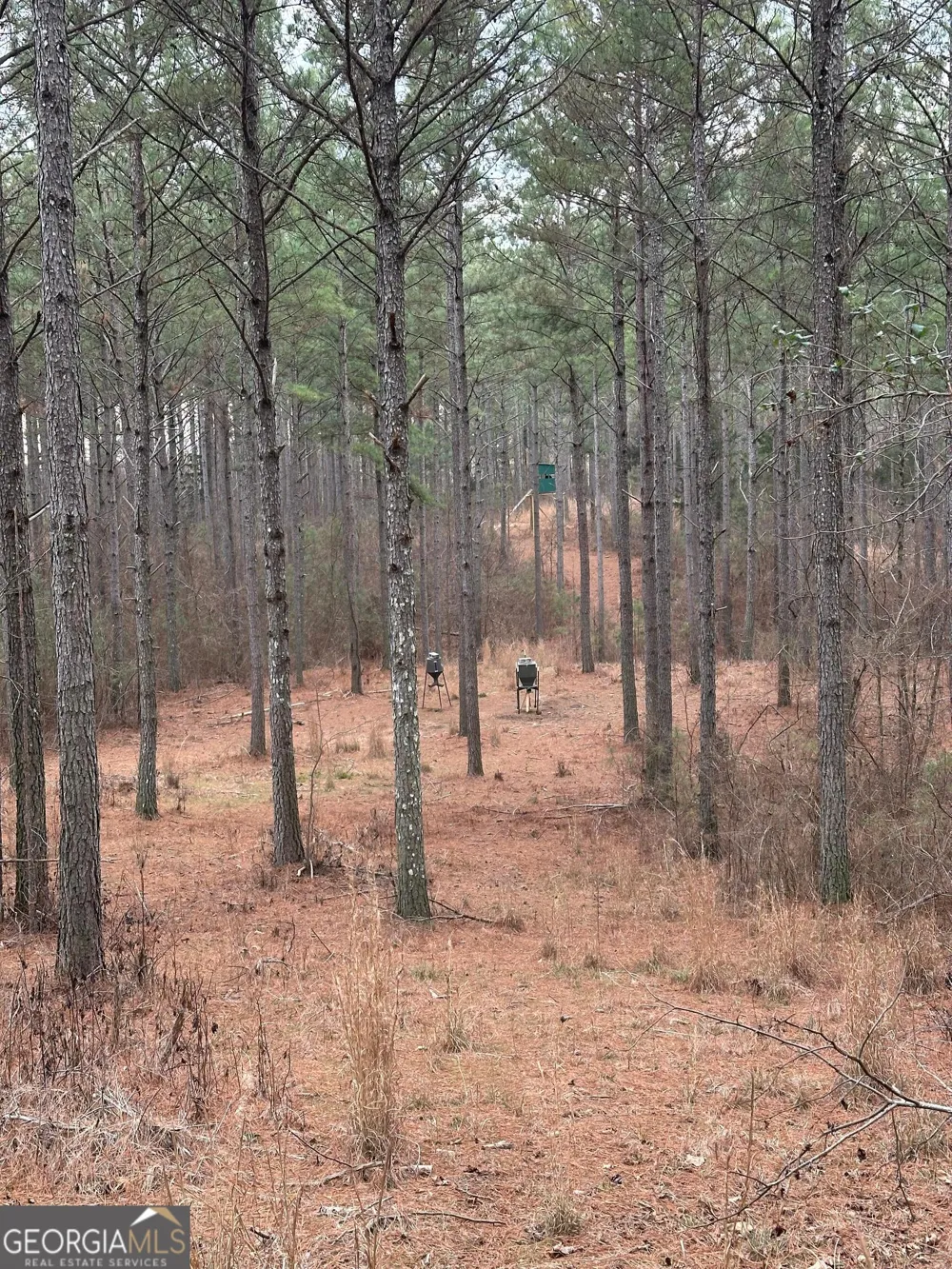 0 S Highway 225 Chatsworth, GA 30705
