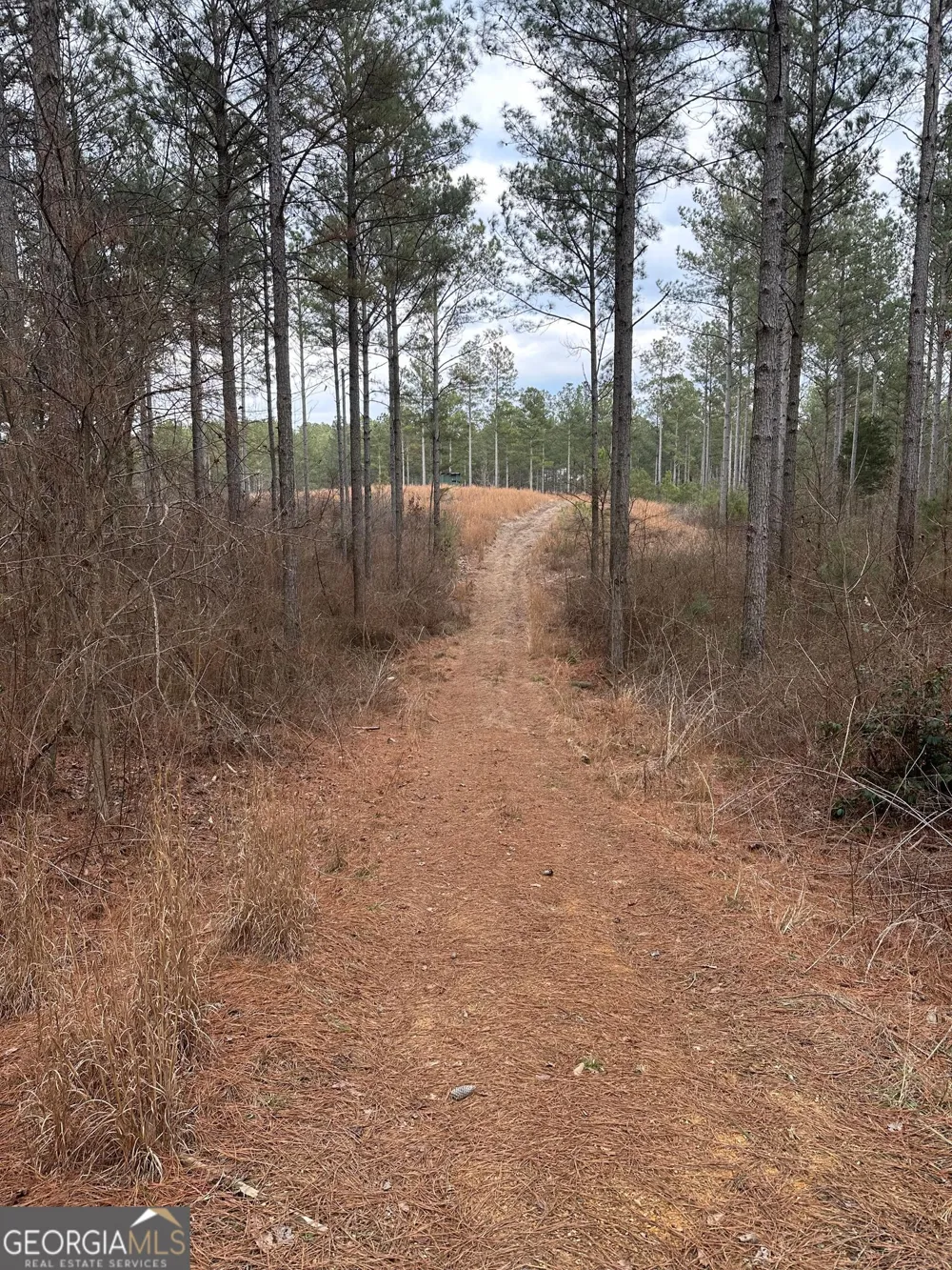 0 S Highway 225 Chatsworth, GA 30705