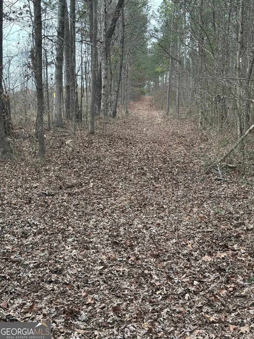 0 S Highway 225 Chatsworth, GA 30705