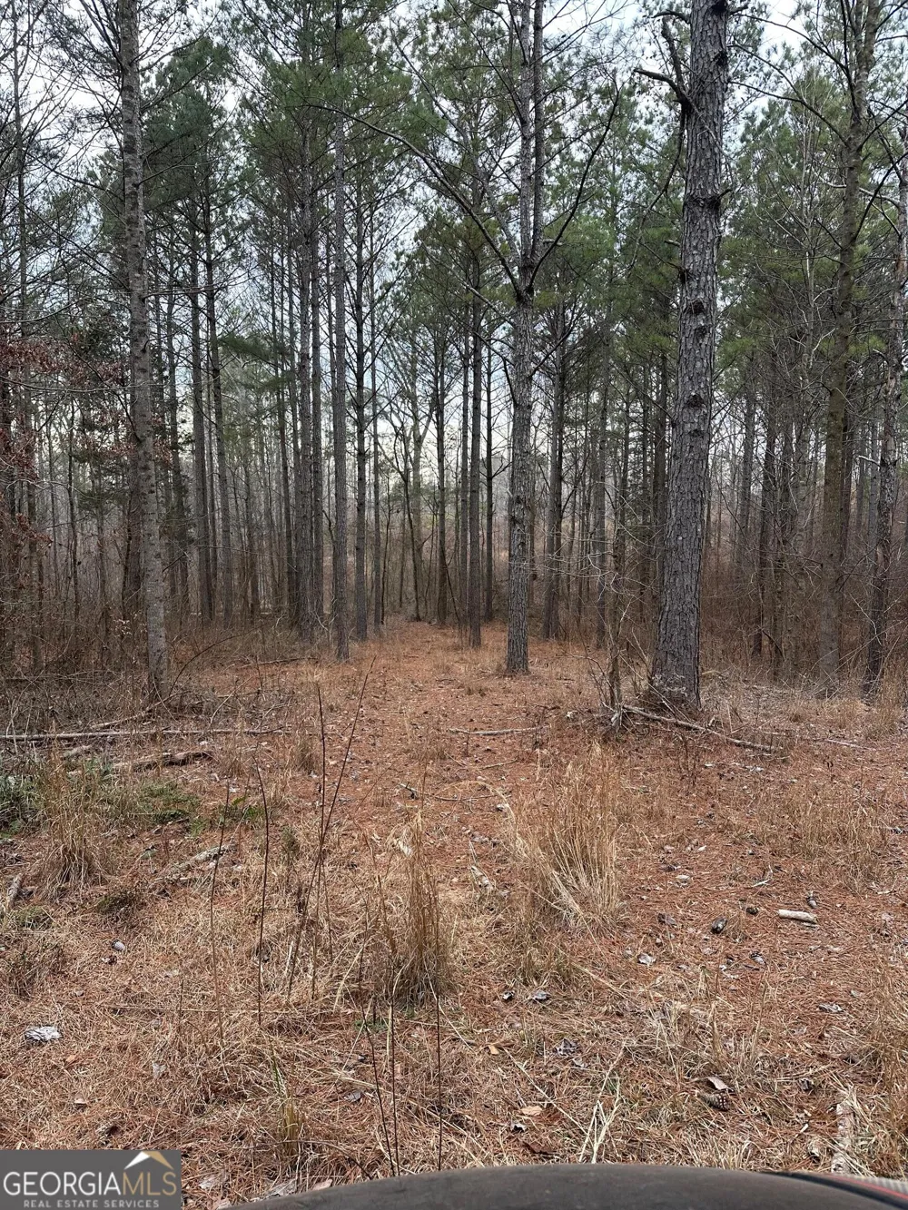 0 S Highway 225 Chatsworth, GA 30705