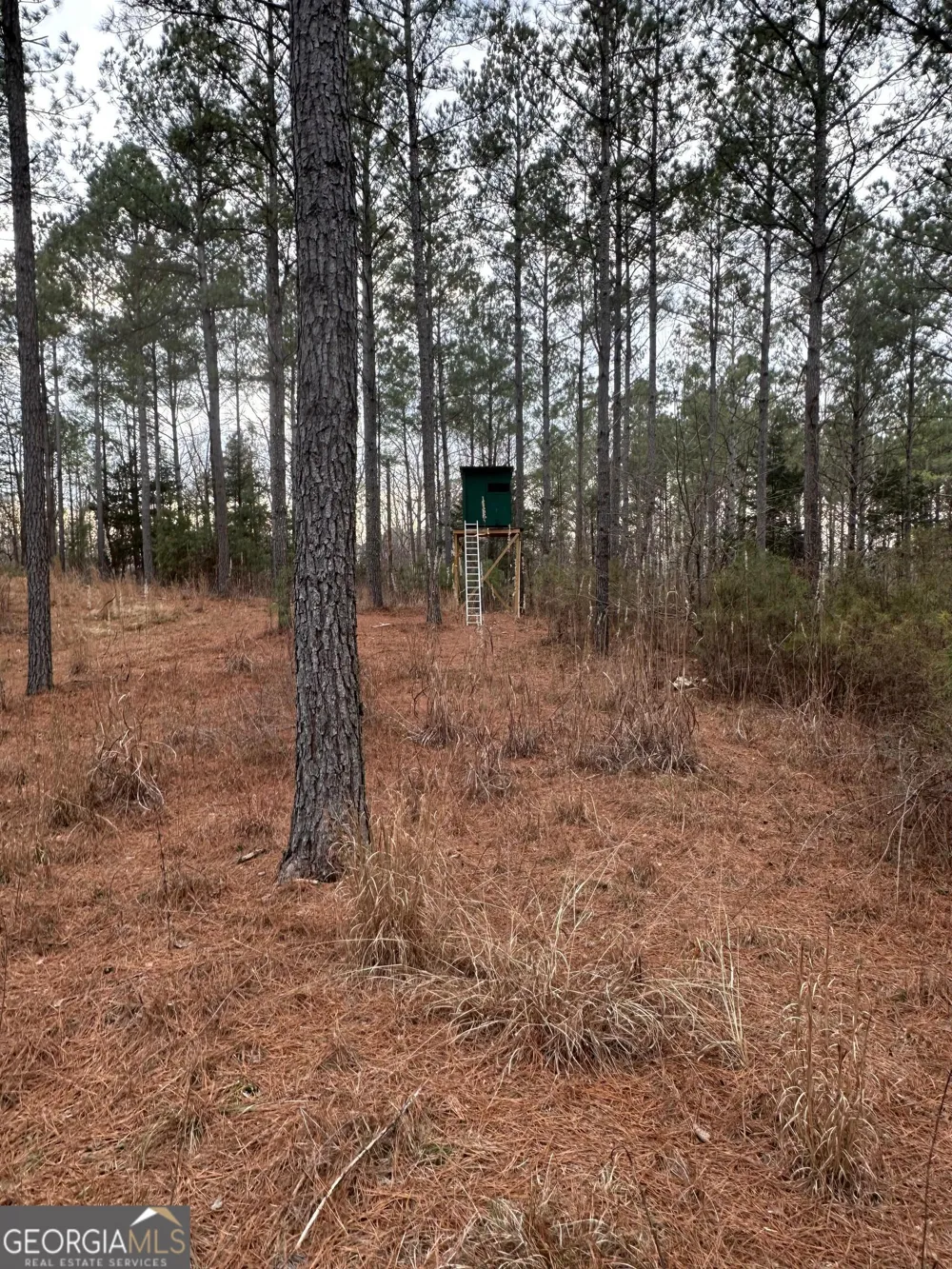 0 S Highway 225 Chatsworth, GA 30705