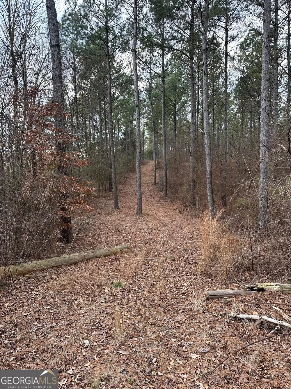 0 S Highway 225 Chatsworth, GA 30705