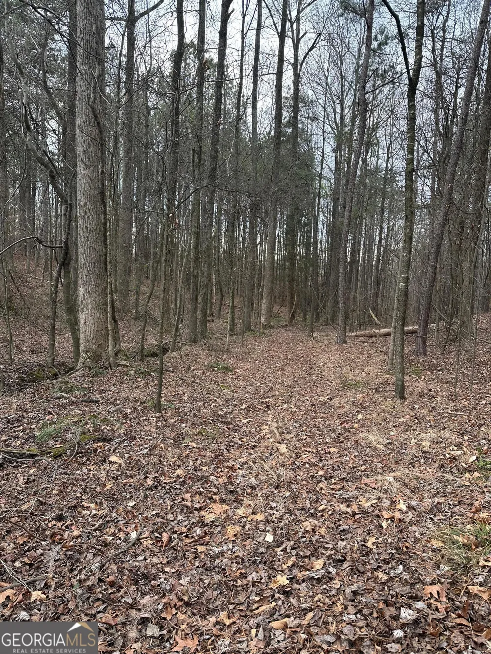 0 S Highway 225 Chatsworth, GA 30705