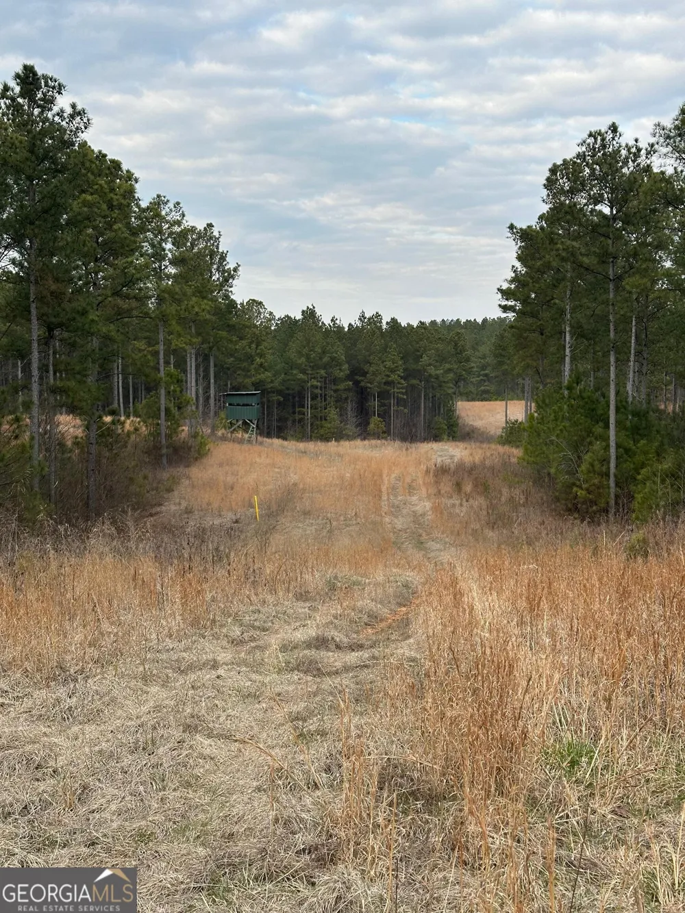 0 S Highway 225 Chatsworth, GA 30705
