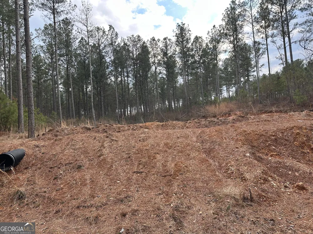 0 S Highway 225 Chatsworth, GA 30705