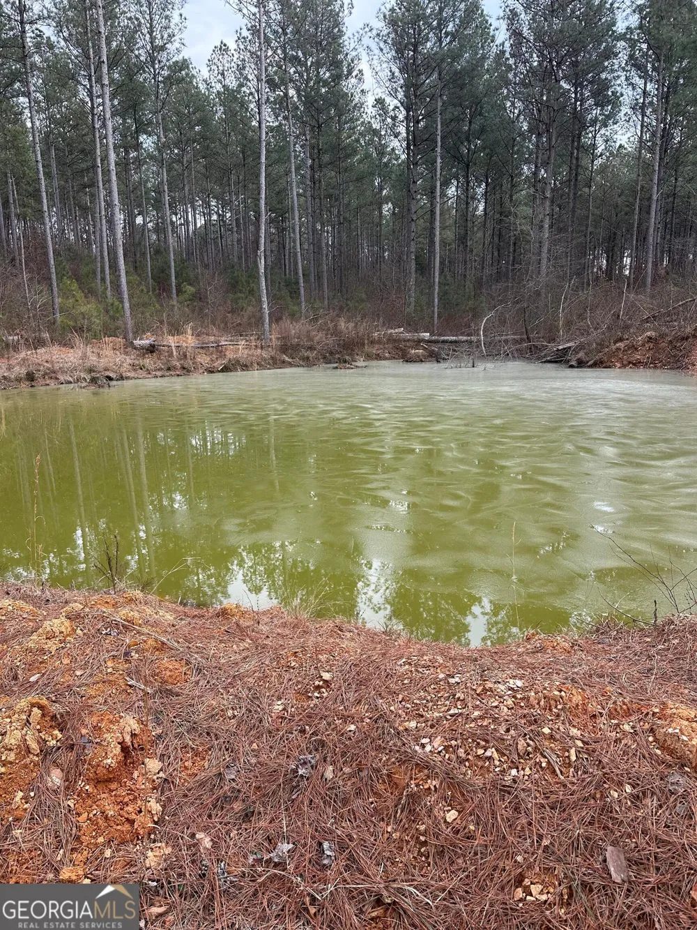 0 S Highway 225 Chatsworth, GA 30705