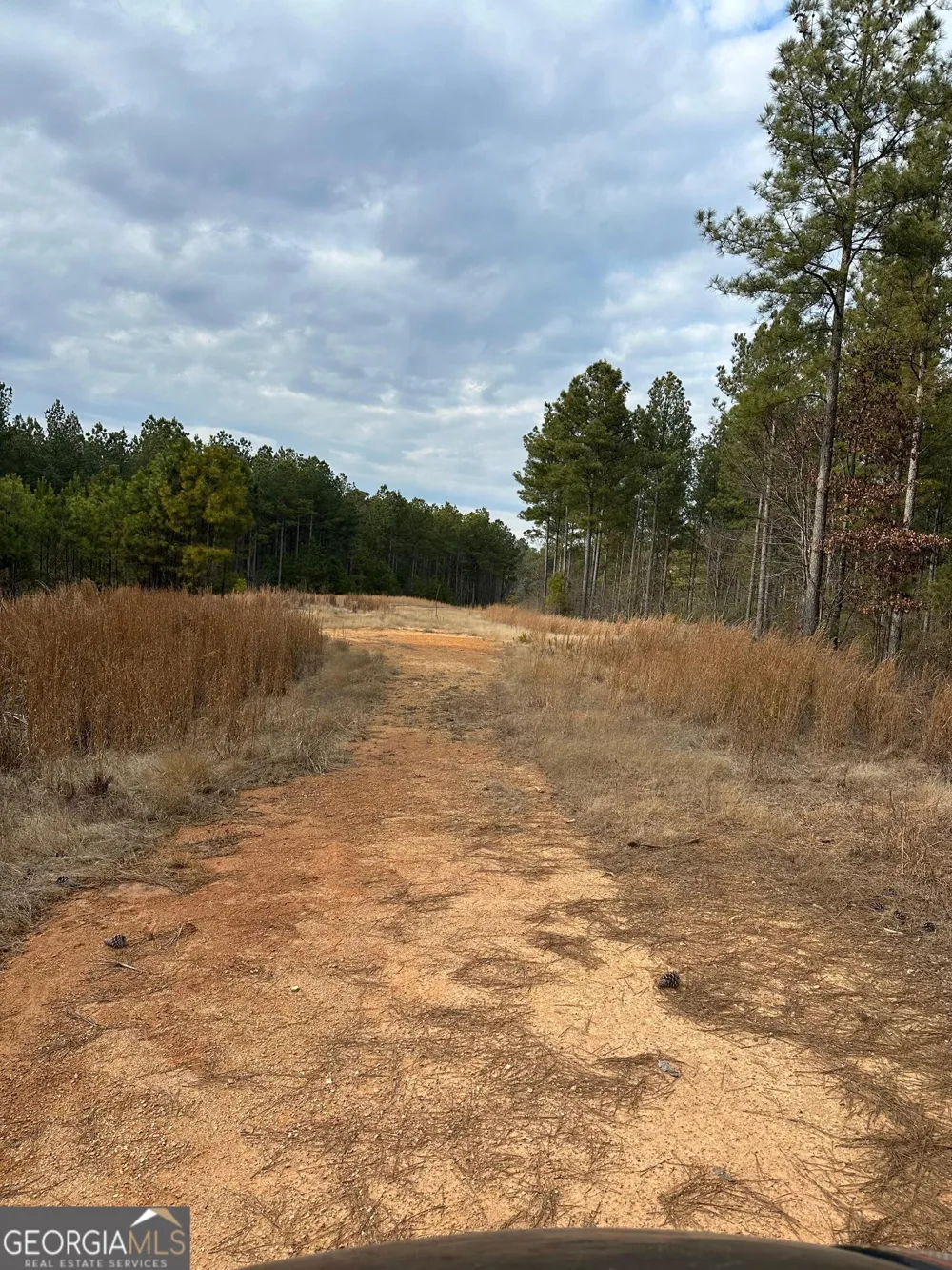 0 S Highway 225 Chatsworth, GA 30705